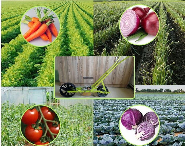 best selling small vegetable seeder(001)